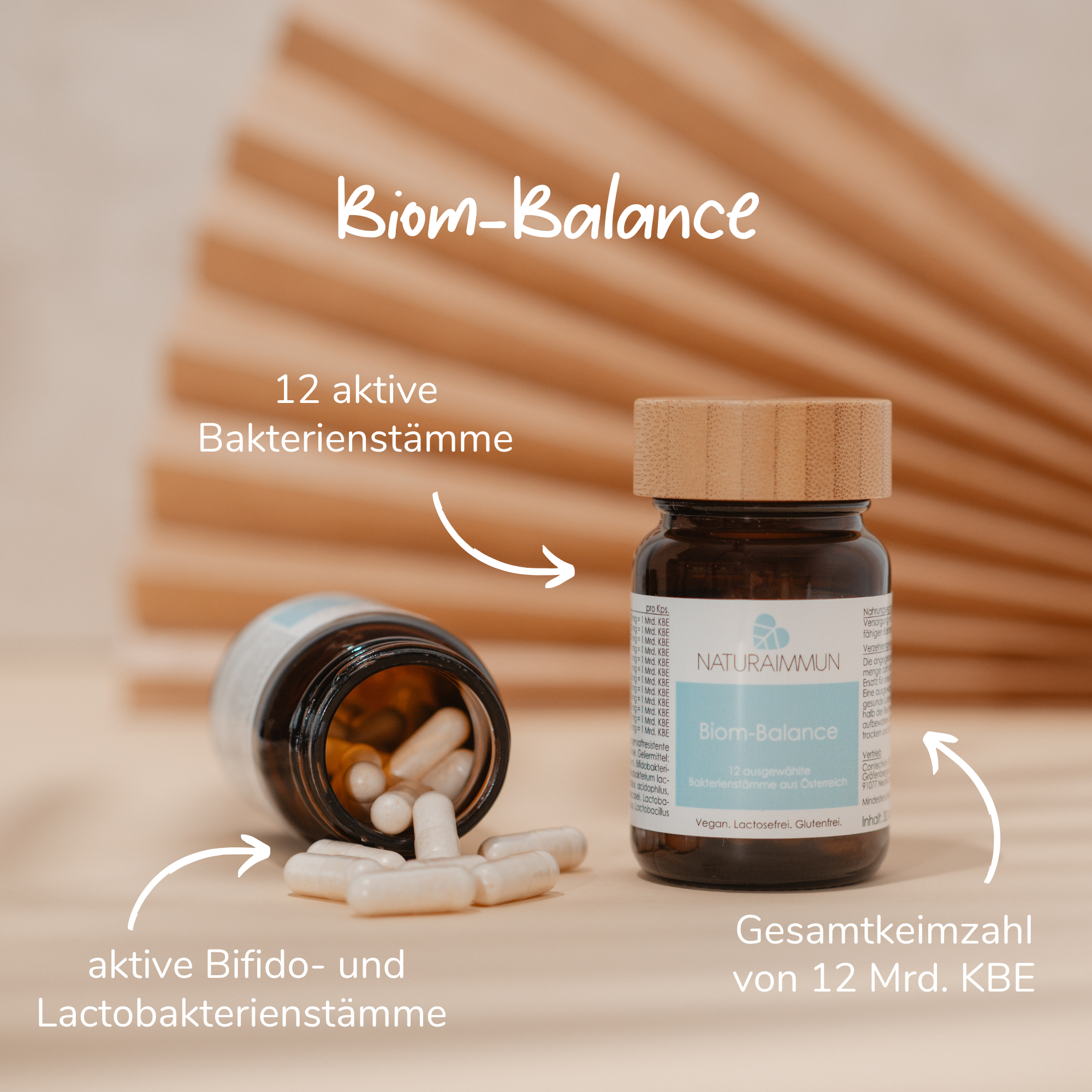 naturaimmun Darmsanierung Paket